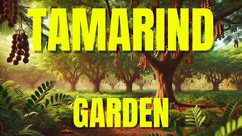 Tamarind Garden Tour: Discover the Tropical Paradise in Your Backyard
