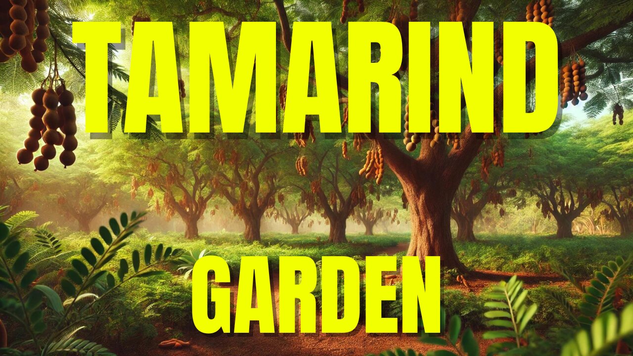 Tamarind Garden Tour: Discover the Tropical Paradise in Your Backyard