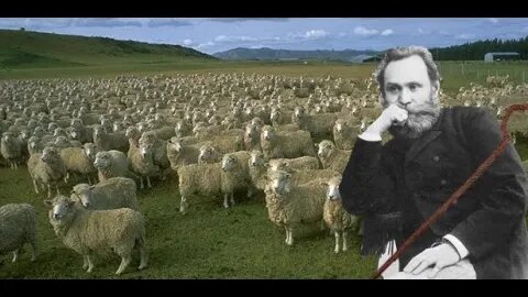 Pavlov's Sheep | Conditioning