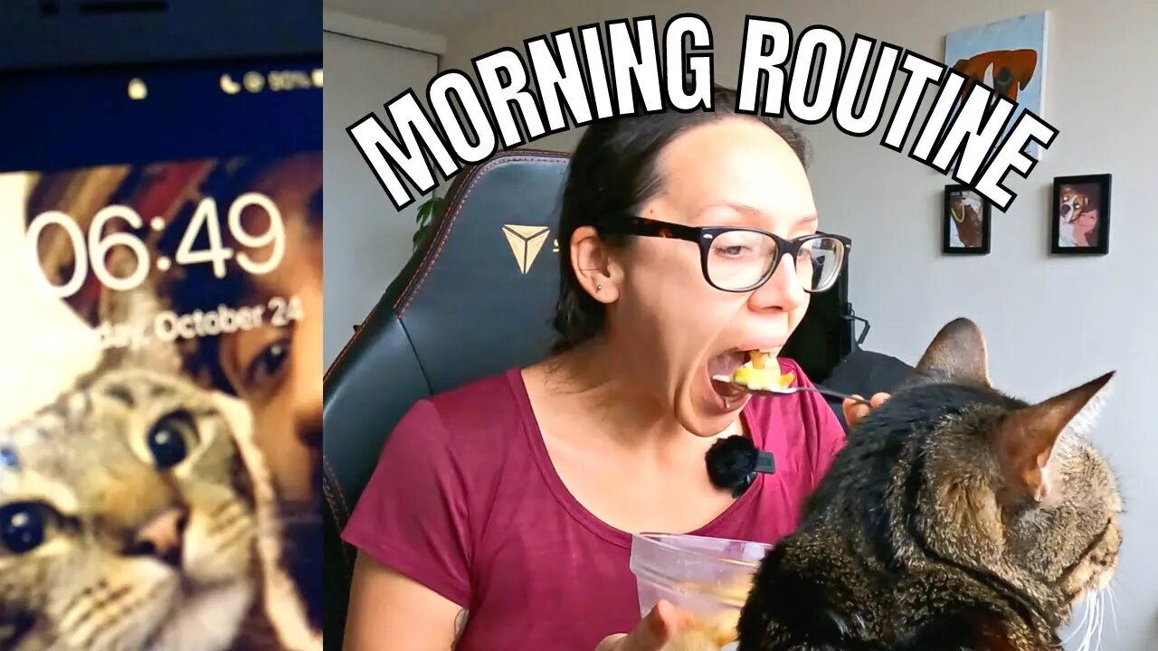 Productive morning routine with my cat