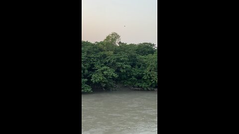 Kapil sharma song