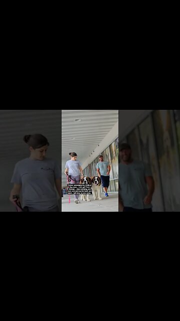 5 Facts About Life #dog #dogtraining #dogtrainer