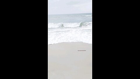 ASMR| Walk with me to the beach ⛱️🏖️ 🐚 ⛵