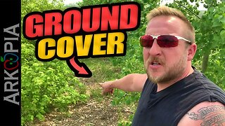 Soil WILL Get Covered - Wood chips, straw, gravel, rock, clay, leaves, grass, plants, or weeds! 😬