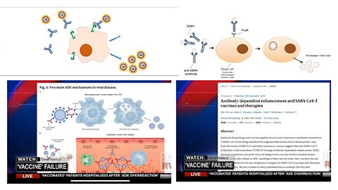 mRNA 疫苗致病原因及後果 刺突蛋白 血栓 淋巴系統 自身免疫 狼瘡 癌症 (2)