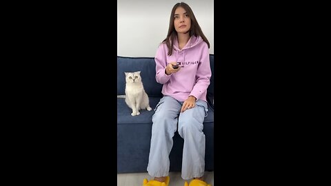 Naughty cats