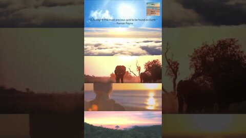 “Ô, Sunlight! The most precious gold to be found on Earth #shorts #trendingshorts #sunlight