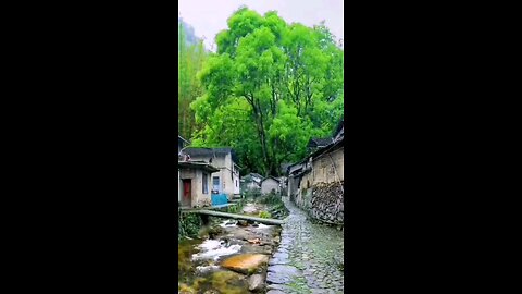 Amazing Nature