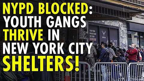NYC largely keeps NYPD from breaking up migrant youth gang in shelter system