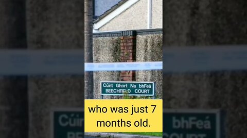 Dublin Murder-Suicide mum and baby names