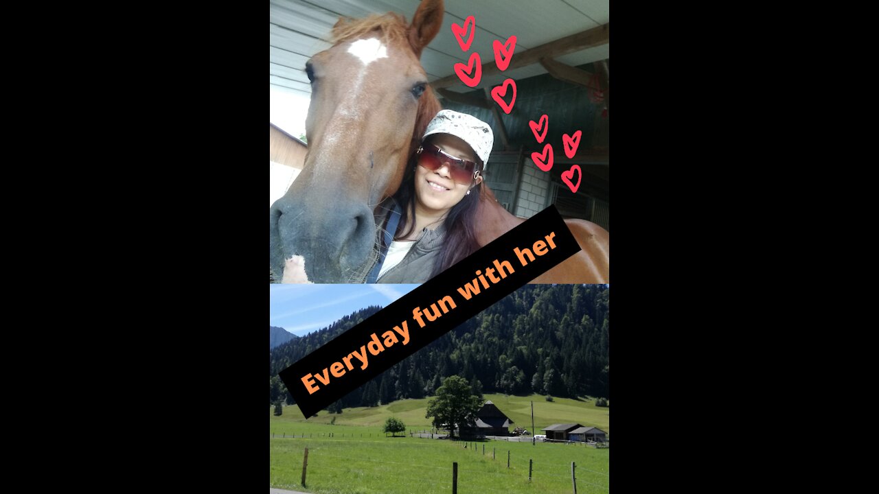 Horse affection