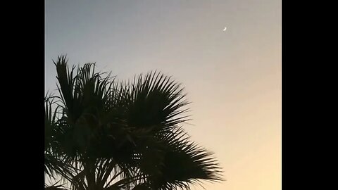 قصه المحامي👨🏻‍⚖ الشهير نهايه محزنه😿