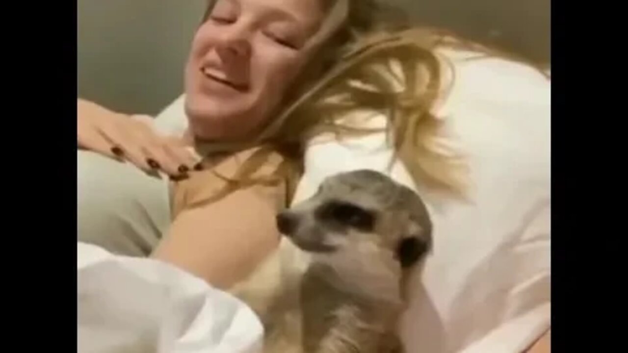 I'm watching