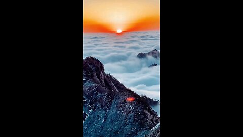 nature view clip