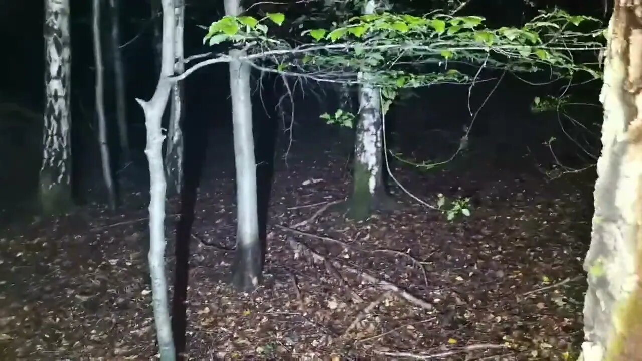 PARANORMAL PAUL WITH MATT WE RETURNED TO SLINDON WOODS