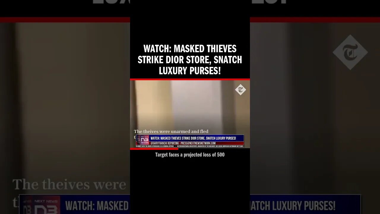 WATCH: Masked Thieves Strike Dior Store, Snatch Luxury Purses!