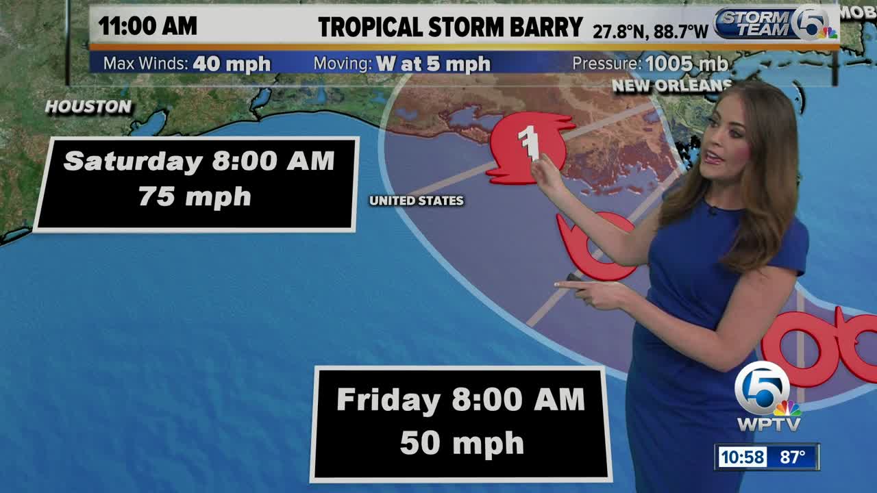Tropical Storm Barry forms