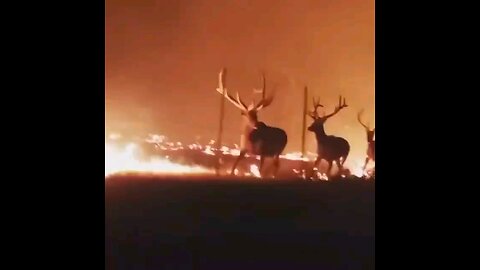 Wyoming Wild Fires With all the focus on the Hurricanes Wyoming isn’t getting any News Coverage
