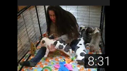 Cuddling With The Puppies!