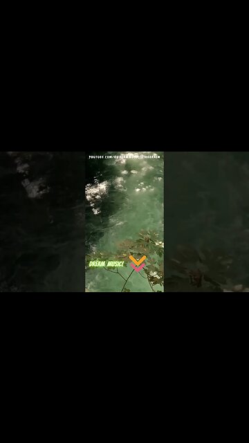 Relaxing Rain Sound while Looking at a Lagoon #flowingwatersound #Relaxation #short #shorts