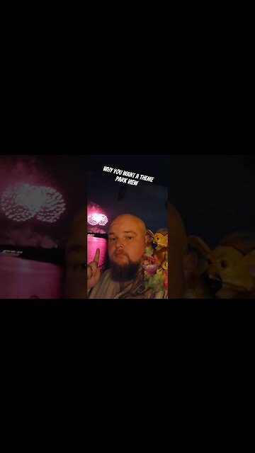 Why You Want A Theme Park View 😏