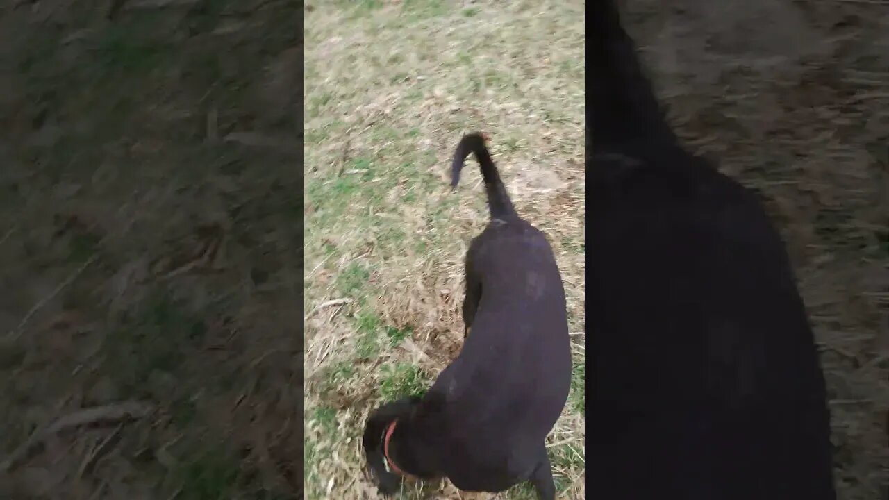 🙂