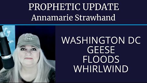 Prophetic Update: Washington DC Geese, Floods, Whirlwind of God