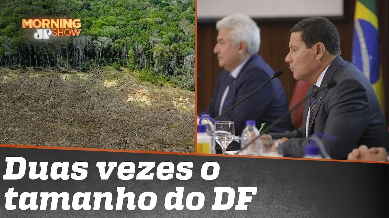 Desmatamento na Amazônia tem alta de 9,5%, diz Inpe