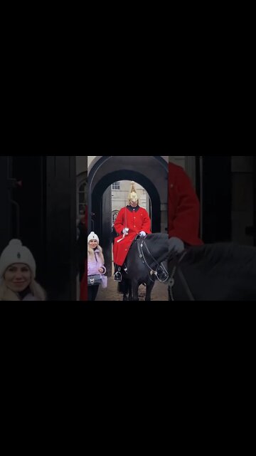 Another disrespectful tourist touching the guard #horseguardsparade