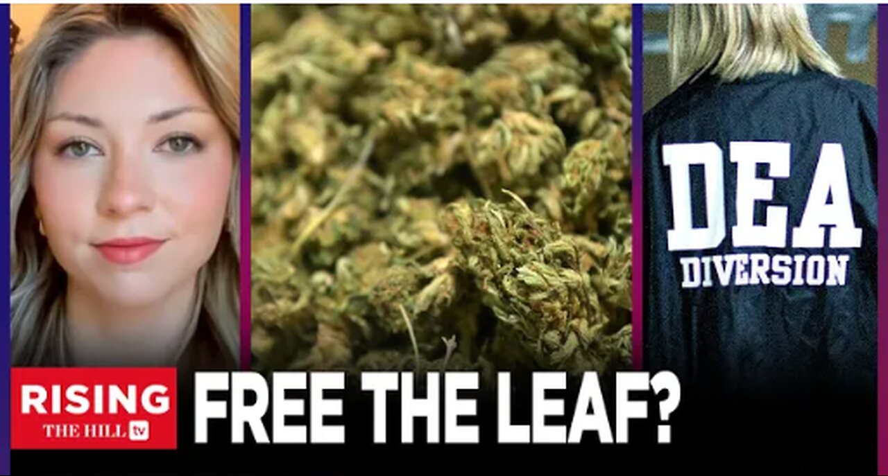 WOEFULLY INADEQUATE': Biden To DOWNGRADE Cannabis From Schedule I, But It's NOT ENOUGH: Analysis