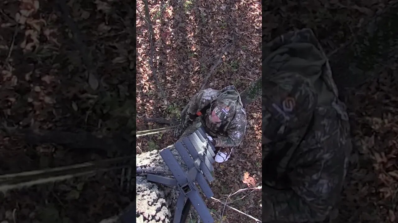 Dealing with smaller properties #deer #deerhunting #biology #shorts #foodplot