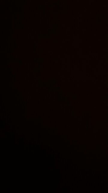 Trans agenda exposed