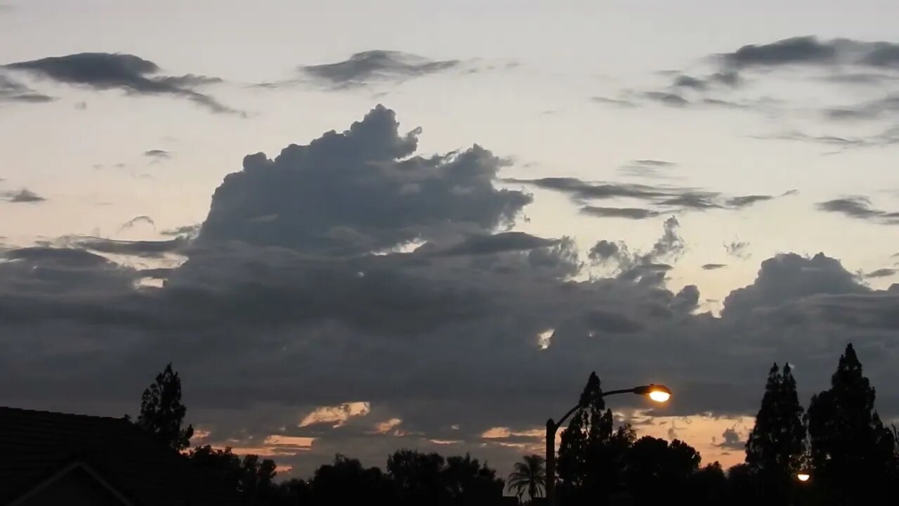 Patty, pain, puzzles plus the pfirmament on June 22, 2022