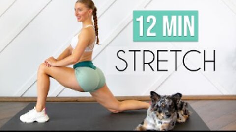 7 ESSENTIAL STRETCHES YOU NEED TO DO DAILY! (12 min Stretch for Flexibility & Mobility)