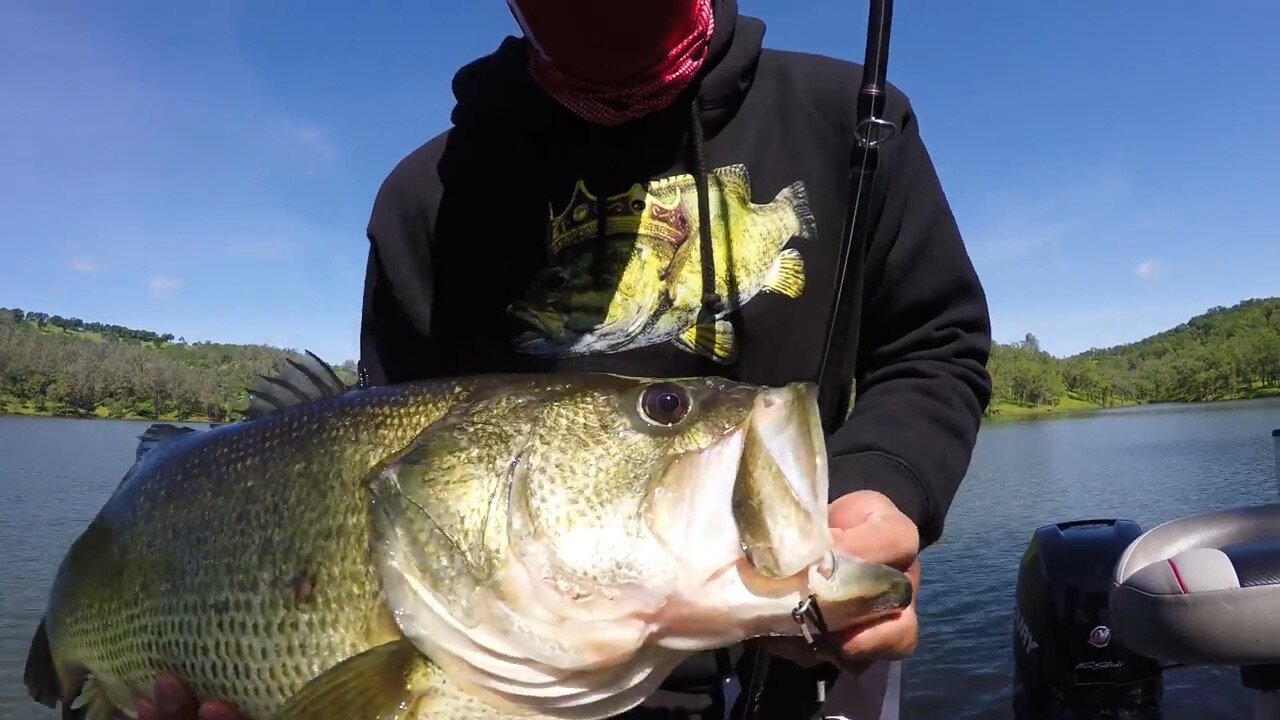 Giant Trout Swimbait Catches Monster Bass After Monster Bass! Defiant 247 Swimbait