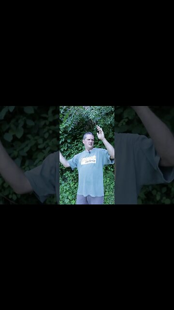 Global Swarming?? #funny #humor #shorts