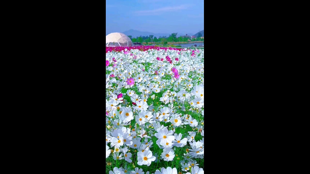 Beautiful view