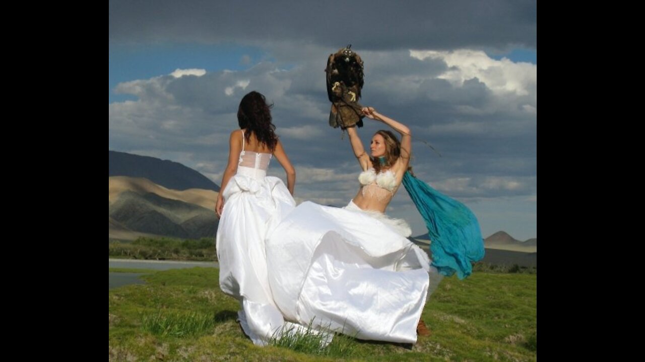 Birds Eye View News - A Return to the Circle with Laurel Kitten
