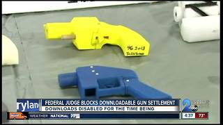 FEDERAL JUDGE BLOCKS DOWNLOADABLE GUNS