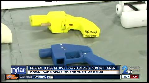 FEDERAL JUDGE BLOCKS DOWNLOADABLE GUNS