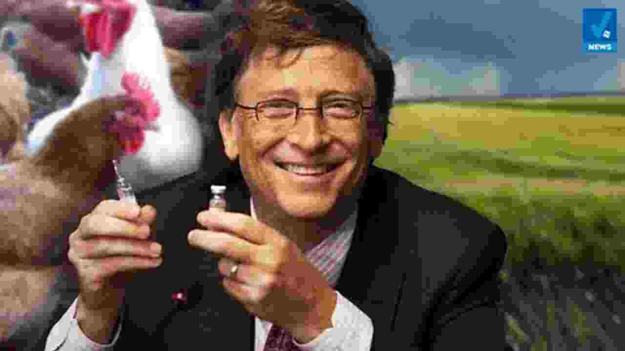 Elites Planning Mass Fatalities New Event 201 Planned Bird Flu Hoax