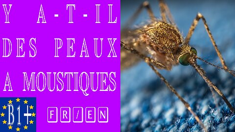 Y a-t-il des peaux à moustiques