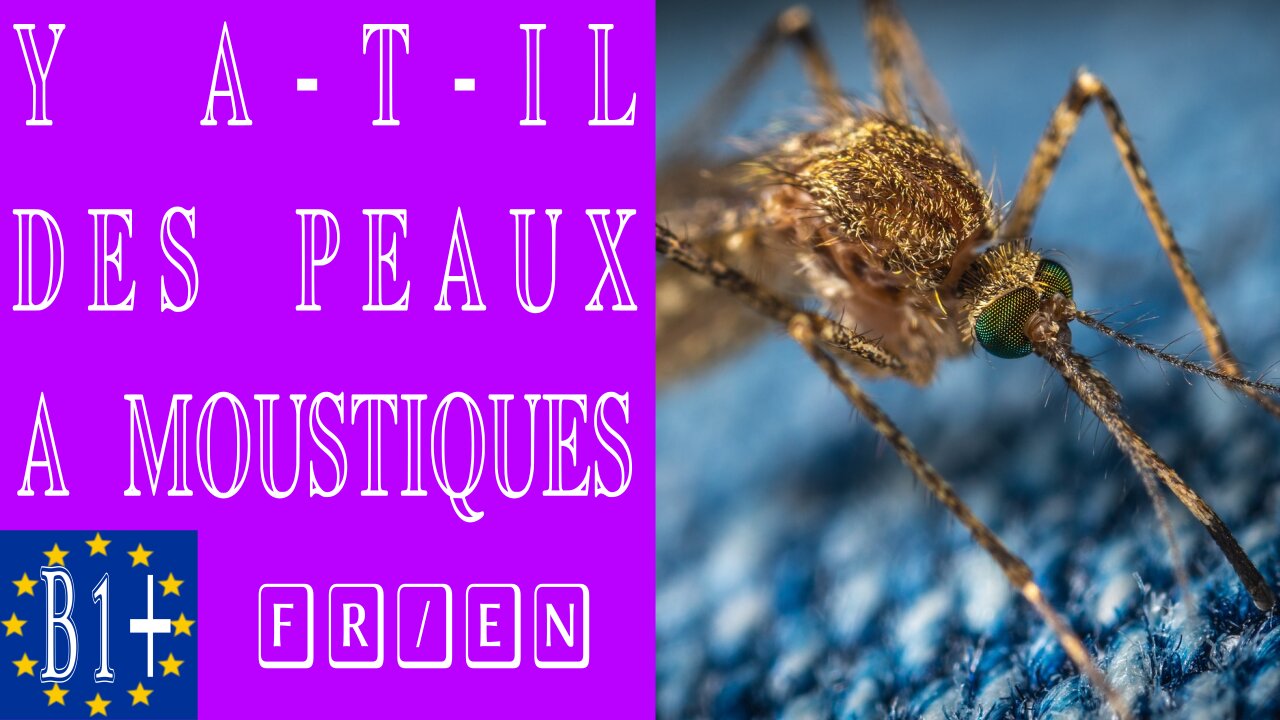 Y a-t-il des peaux à moustiques