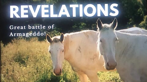 Revelations! Lil Nas X