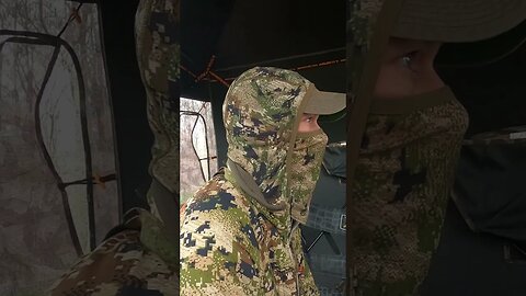 Firing Up a Group of Jakes #shorts #turkeyhunting