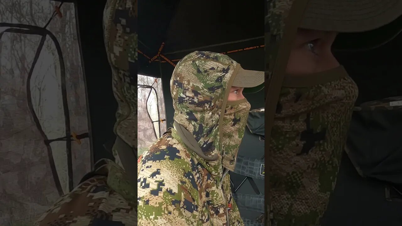 Firing Up a Group of Jakes #shorts #turkeyhunting