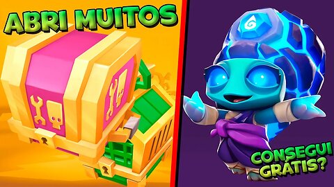 EM BUSCA DA SHELLY HIDROMANTE GRÁTIS! ABRI MUITOS BAÚS ZOOBA
