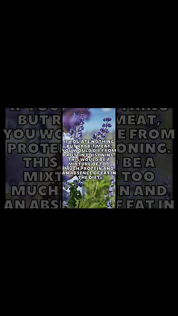 Incredible Random Facts That Will Expand Your Mind! [2023] #shorts #facts #viralshorts #fyp #life