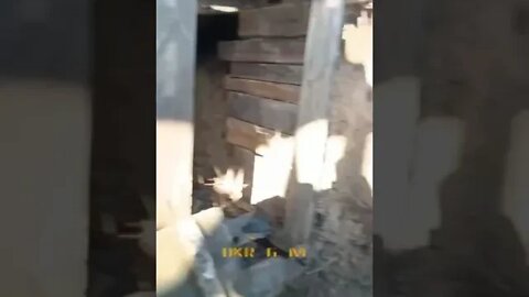 🇺🇦 In the trenches near Artemovsk. A very remarkable video from the Ukrainian trenches