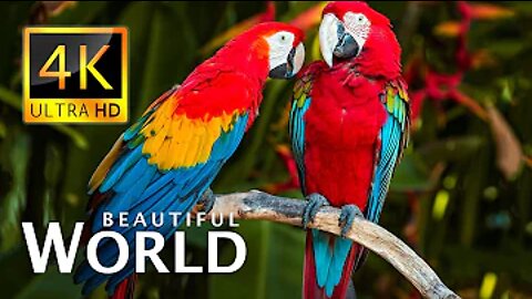 Beautiful Nature